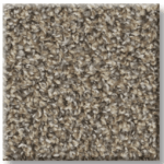 Cape Canaveral - 00102 Nutria