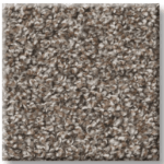 Cape Canaveral - 00700 Nature Trail